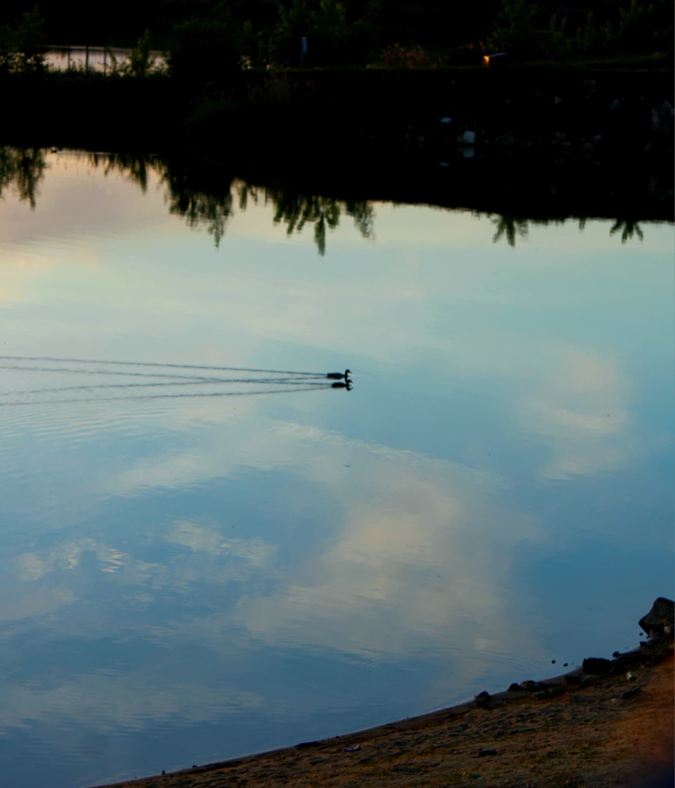 Swimming in the sky